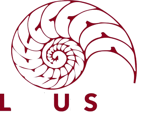 Lookup Strata